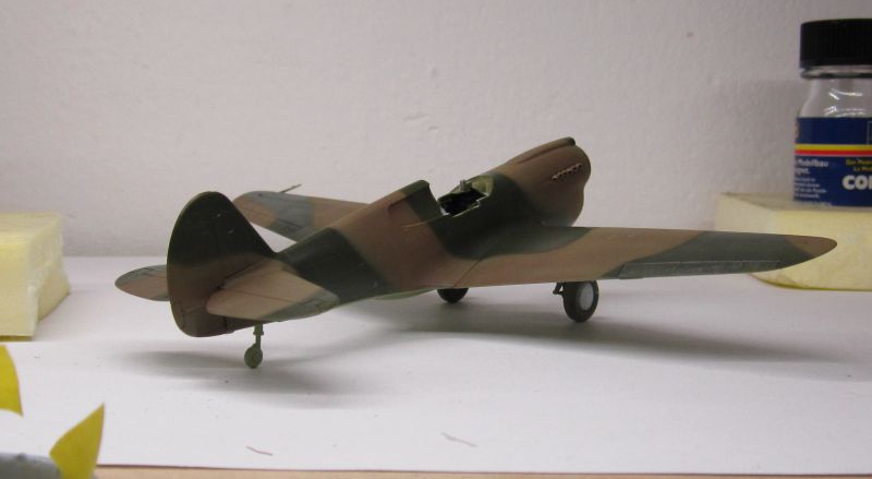 P 40 E Hasegawa 1/72 IMG_1285