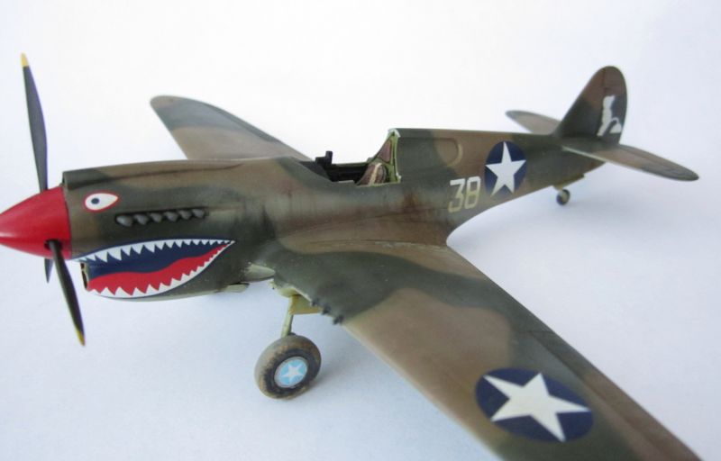 P 40 E Hasegawa 1/72 IMG_5996_zpshg7rjtld