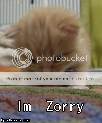 Tier-Bilder aus dem Internet Sorry_cat_epiclosers