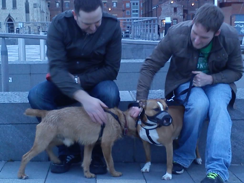 a bit of socialisation for spike !  DSC_0305_zps2f0b044b