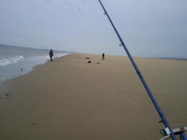 dabs at talacre Photo0395