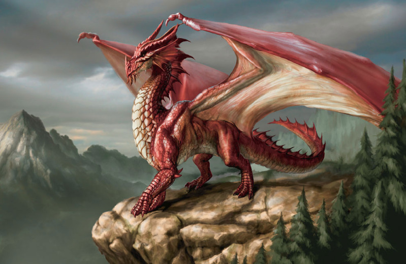 Common Races Reddragon