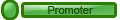 Promotion Staff