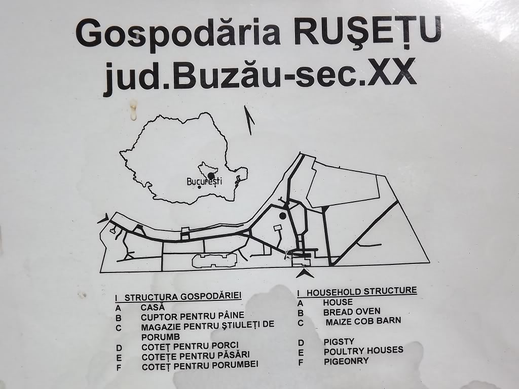 MUZEUL SATULUI DIN BUCURESTI - Pagina 4 10RUSETU