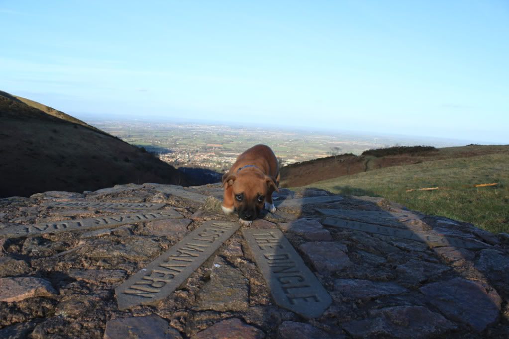 Bruce and I at the Malvern Hills Bruce2