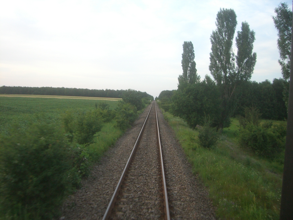 101 : Bucuresti Nord - Titu - Pitesti - Piatra Olt - Craiova - Pagina 3 CIMG8583-1