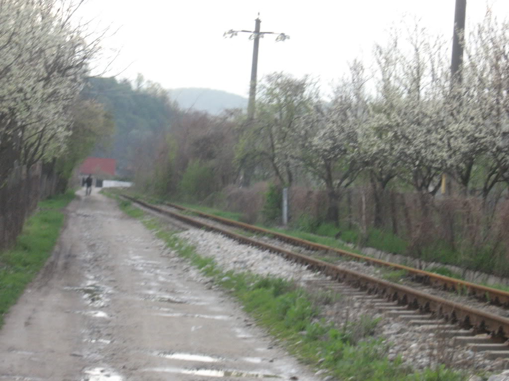 Reportaje feroviare - Teodor. IMG_3041