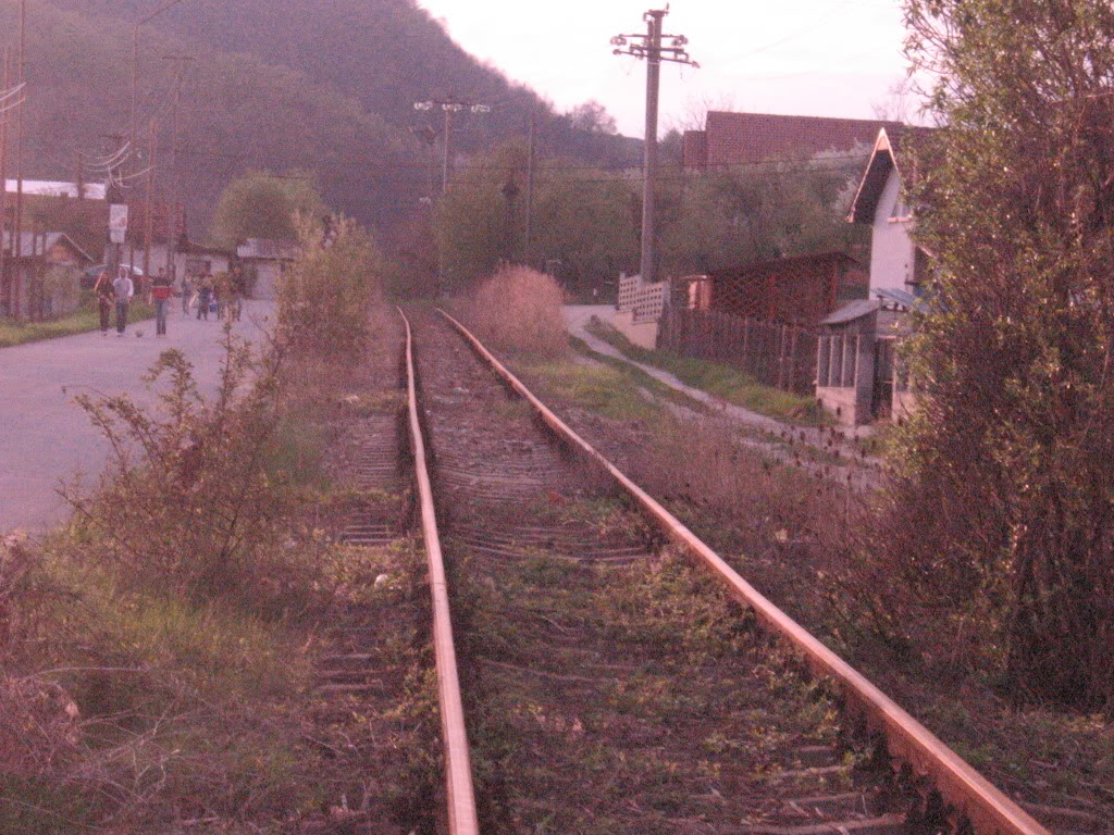 Reportaje feroviare - Teodor. IMG_3050