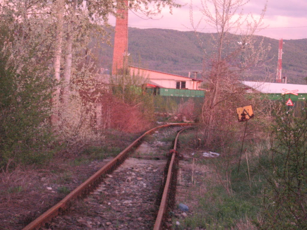 Reportaje feroviare - Teodor. IMG_3058