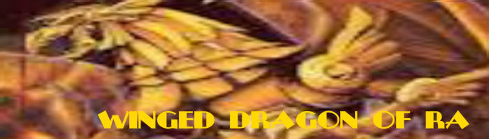 WINGED DRAGON YELLOW DORM