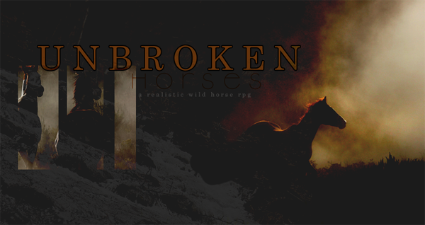 Unbroken Horses - New Site UNBROKENADVERT