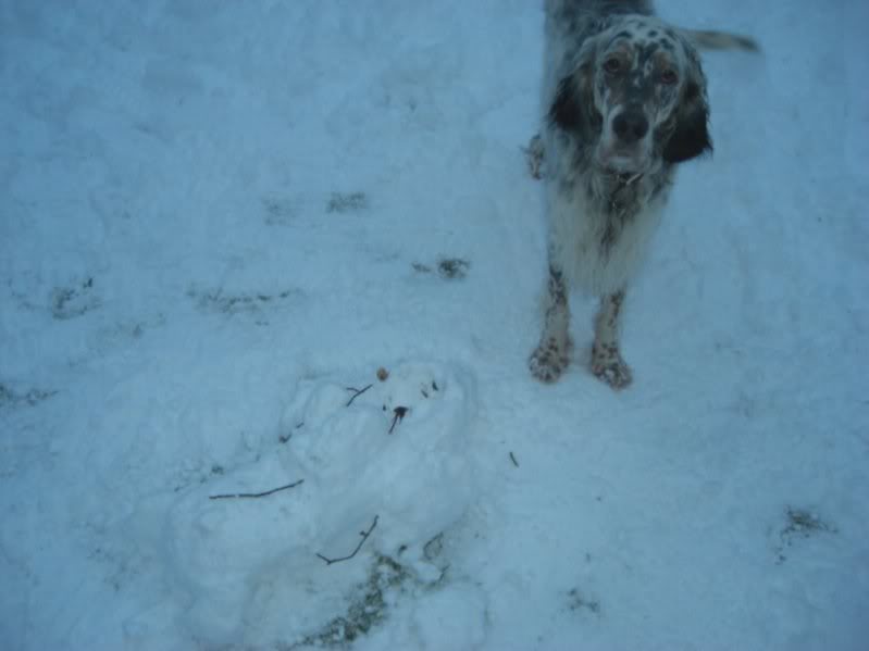 What? Snow in Cornwall Cimg3113