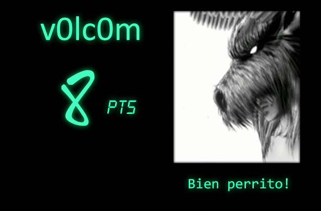 Rol Gantzer [Entre Misiones] Volcom