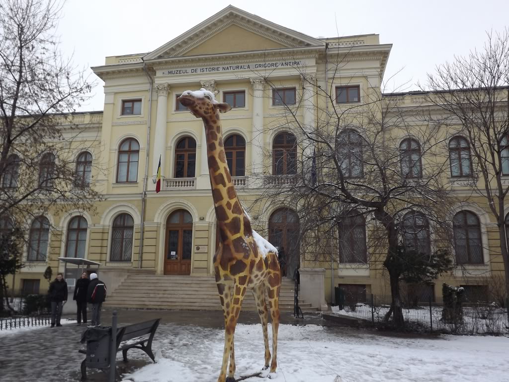 MUZEUL NATIONAL DE ISTORIE NATURALA - GRIGORE ANTIPA MA2