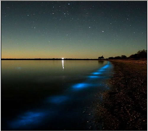  البحيرة المضيئة مناظر خلابه  Bioluminescent-Lake-in-Australia-2-580x794