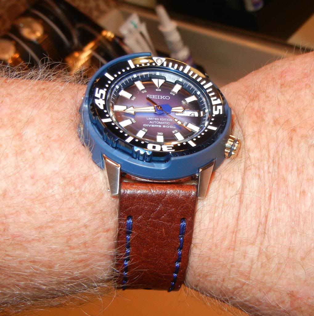 Photo Essay: My New Seiko Blue Baby Tuna Watch DSCN78302_zpsf8ab5bc5