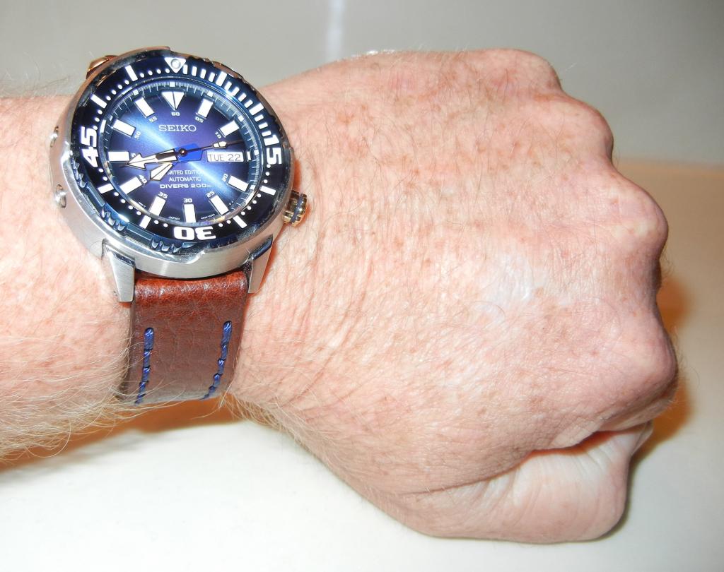 Photo Essay: My New Seiko Blue Baby Tuna Watch DSCN82012_zpsf8b8a517