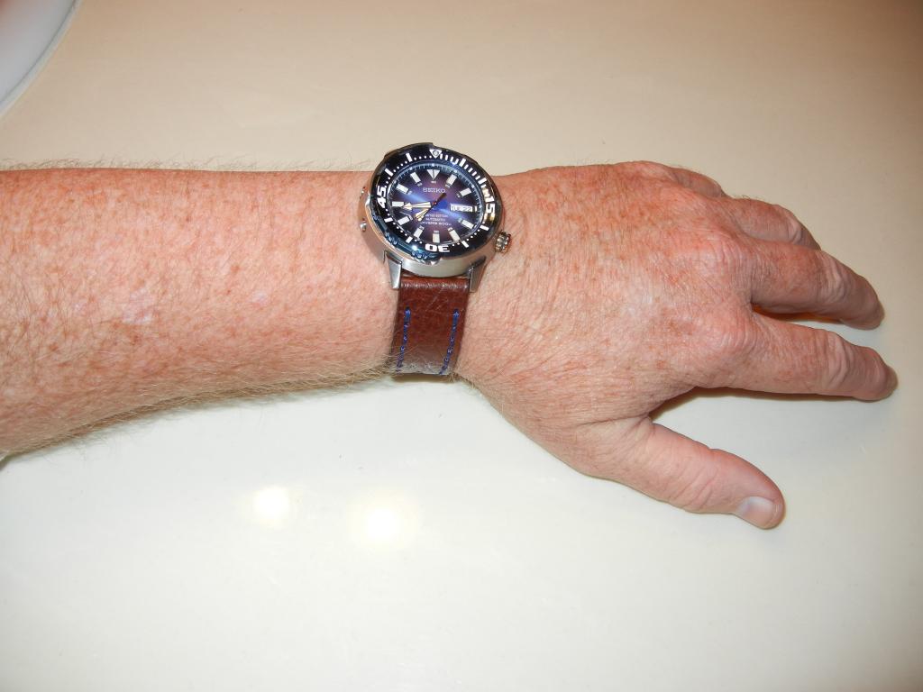 Photo Essay: My New Seiko Blue Baby Tuna Watch DSCN8203_zps804c6a8a