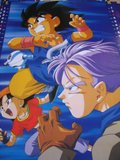 [VDS]Doujinshi/goodie/figurines/manga(DBZ/SM/SS/YYH MAJ 08/1 Th_DBGT9formatA7