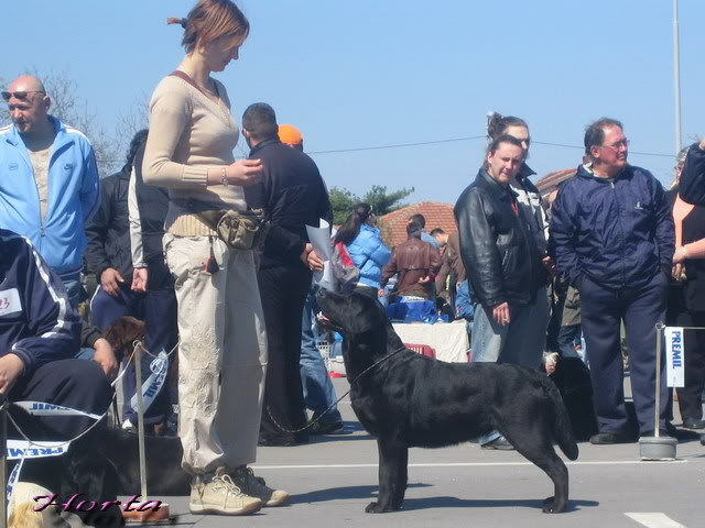 CACIB Jagodina 2008. CACIBJAG022