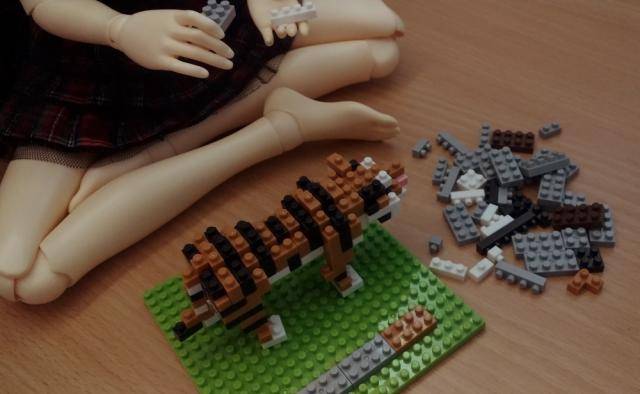 fun with lego ^^  Amyplaying3