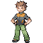 Trainer Sprites Frlgemtr116