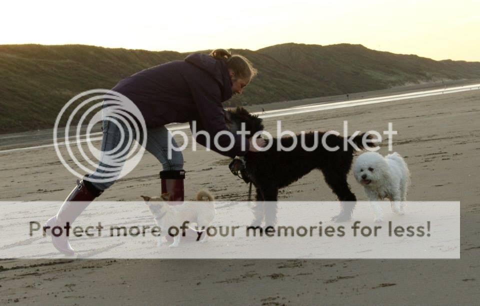 Beach Walk! Dogsonbeach-28thSeptember2013_zpsaa0ecdf1