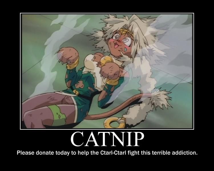  Post your funniest Pics Catnip