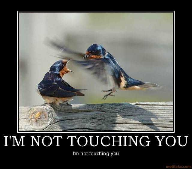  Post your funniest Pics Im-not-touching-you-birds-touching-demotivational-poster-1243658267