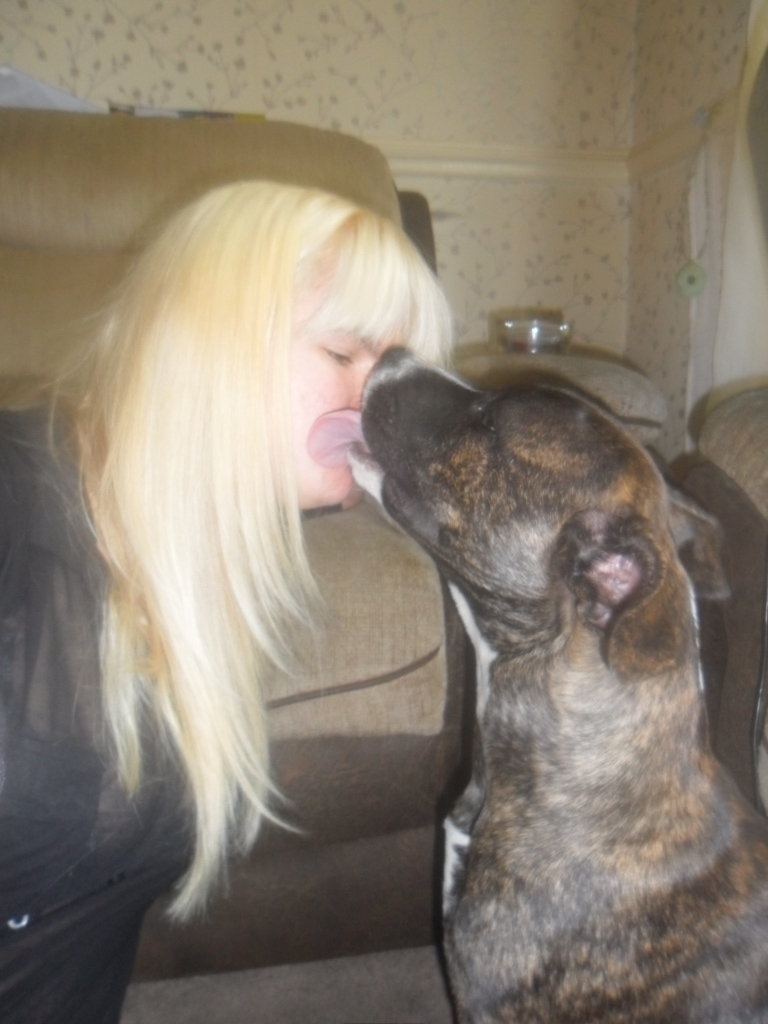 Wanted you and your staffy hugging - Page 2 SAM_1516_zps547229bd