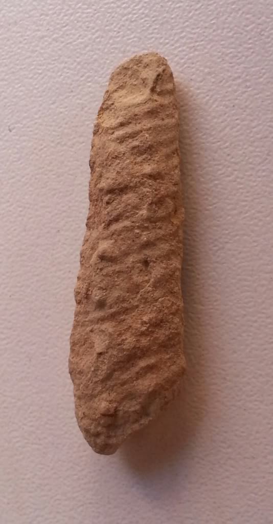 Fosiles del Cretacico de Ibiza para clasificar 2 20130328_105841-1_zpsd5f05072