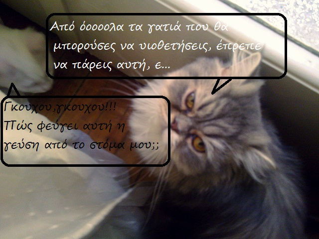 Οι "μαύρες" σκέψεις μιας γάτας... Μήπως η γάτα έχει κάτι να μας πει; - Σελίδα 6 8