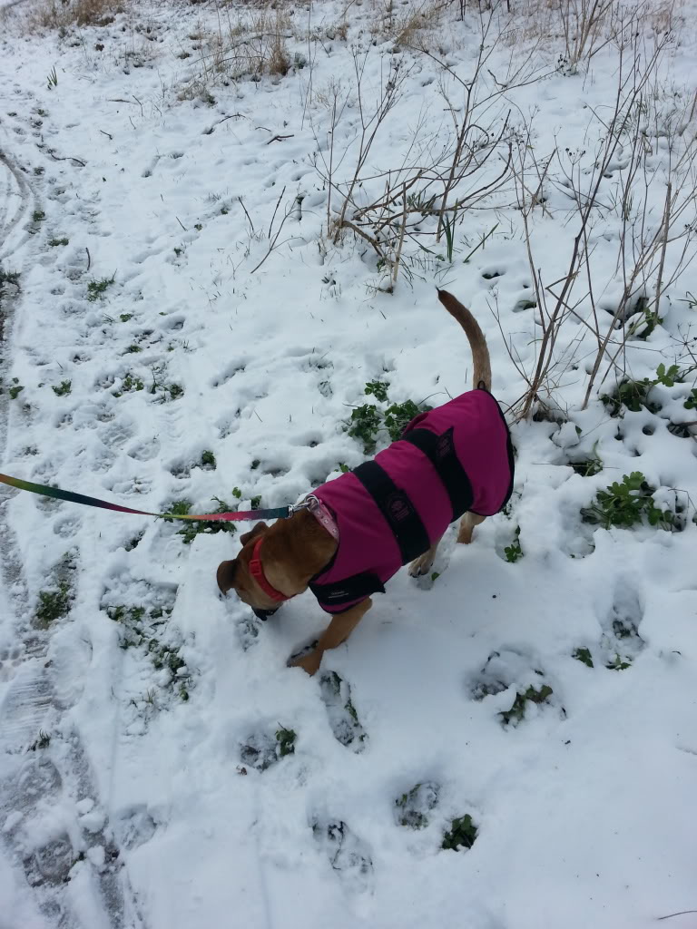 Fun in the snow 20130312_104753_zpsdf183221