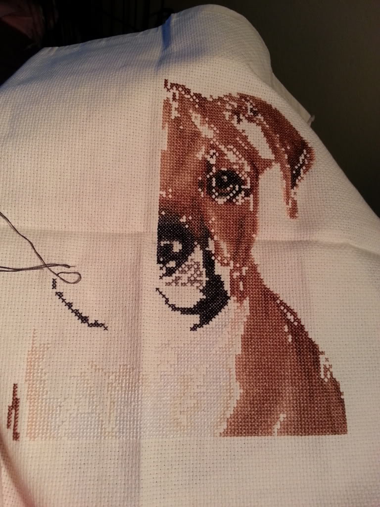 half way through this staffie cross stitch  20130602_204436_zpse210f0cf