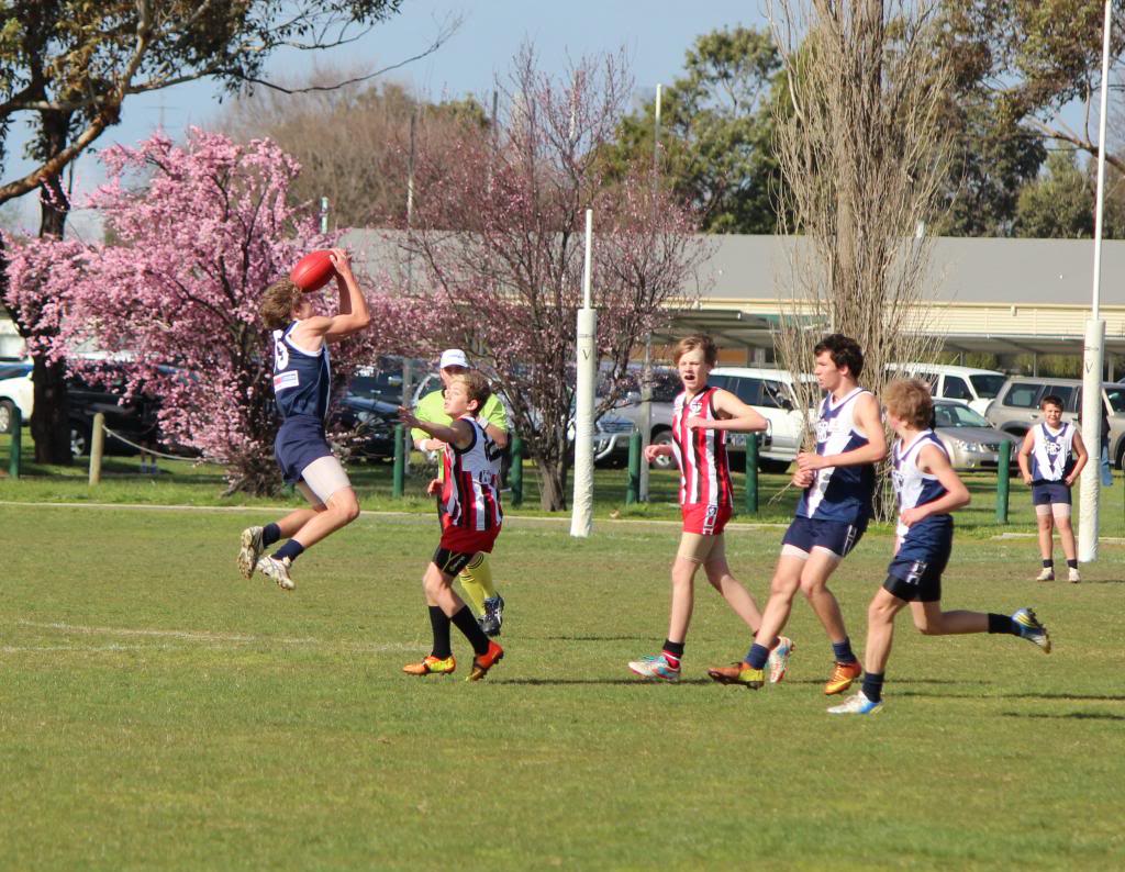 round 14 v Pax Hill U147_zpsfdd5bbf8