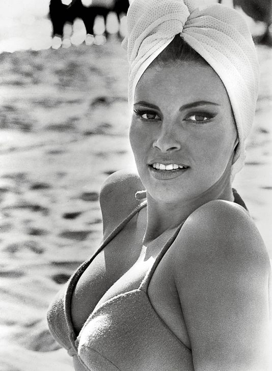 Raquel Welch 3420875_5_5586_raquel-welch_03e7f62acd54f938fd4d6ecf5c461000