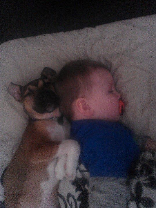 my two gorgeous sleeping babies 59756_471926589539623_1816237162_n_zps8082b59a