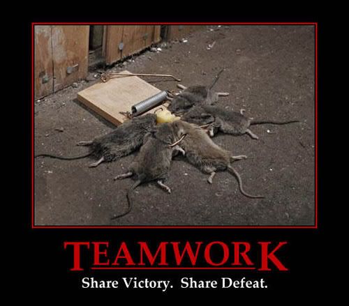 Funny (and clean) pics! Teamwork