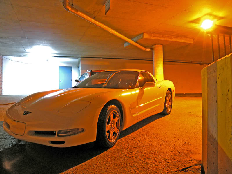 White C5 Photo1044