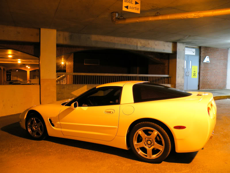 White C5 Photo1066