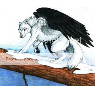 Bilder zu Verborgene Geheimnisse Winterwolf1