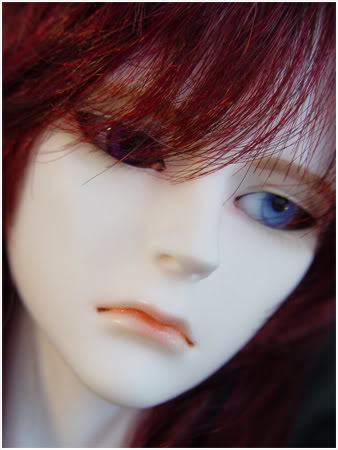 [DOLLSHE CRAFT] Husky Ravi