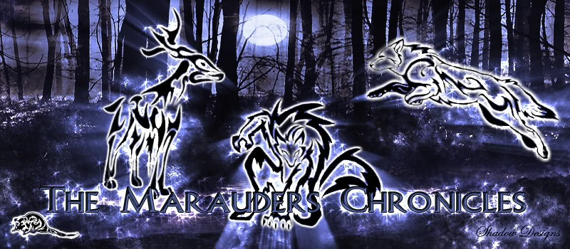 The Marauders Chronicles 