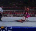 Randy Orton vs Shawn Michaels Sharpshooter