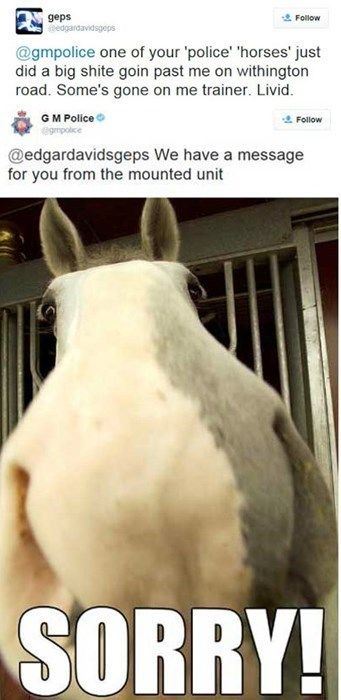 Saw this earlier - not dog related, but... Police%20horse%20funny_zpspahncwii