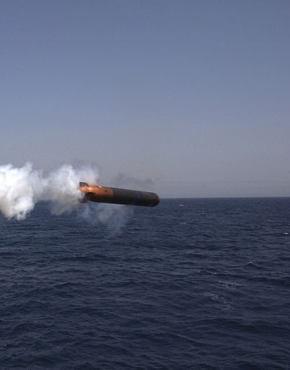 الجيش المصرى بكامل التفصيل قدر الامكان MK-50Torpedo_zps6e581148