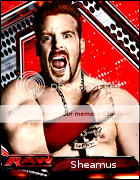 Regarde une feuille de personnage Sheamus_227_zpse8337676