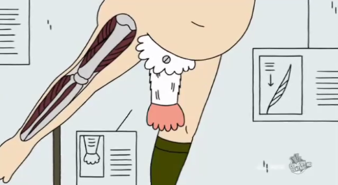 Manbird. (Ugly Americans) Apendice_zps5e735135