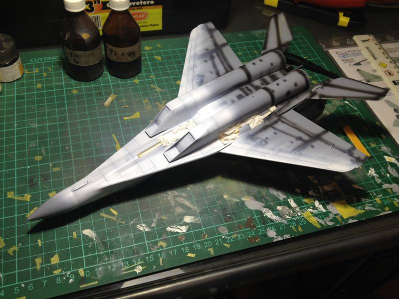 Mig-29 Tigermeet 2002 Eslovakia // 1:48 Academy IMG_2651_zps40ac88d8