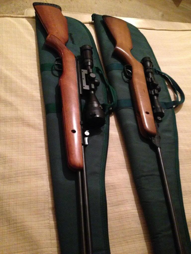 Vendo Gamo CFX Royal madera 5.5 y Gamo 400 madera 4.5  del 2011  Image_zpsa148d03d